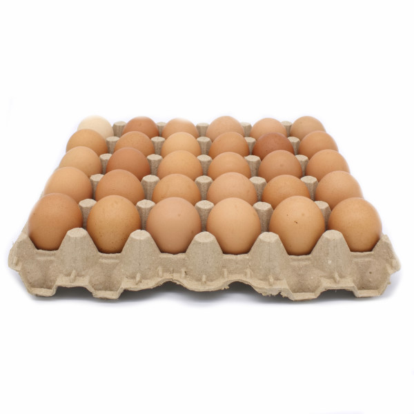 CARTON DE HUEVO GRANDE 30 U.